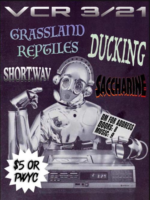 Grassland Reptiles / SHORT.WAV / Saccharine / Ducking (Columbus)