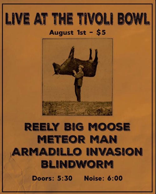 Reely Big Moose, Armadillo Invasion, Meteor Man