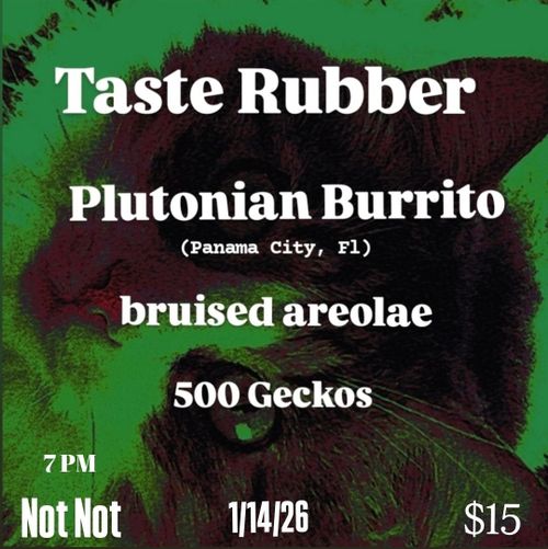 Taste Rubber, Plutonian Burrito (Panama City, FL), bruised areolae, 500 Geckos