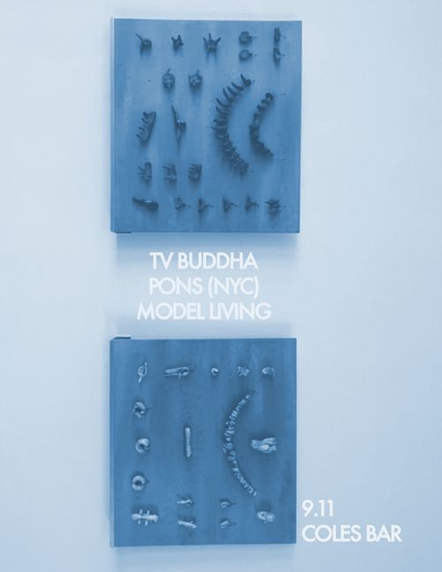 tv buddha at coles bar