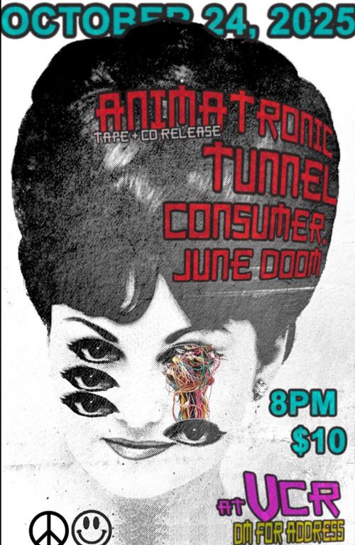 Animatronic, Tunnel, CONSUMER and JuneDoom