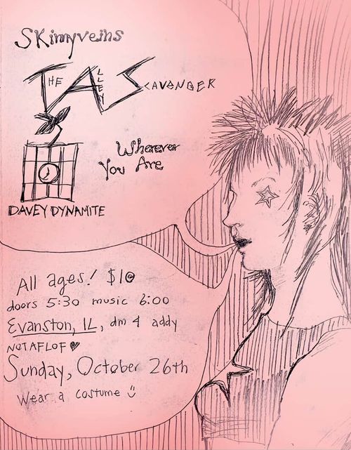 OUTDOOR FOLK PUNK SHOW